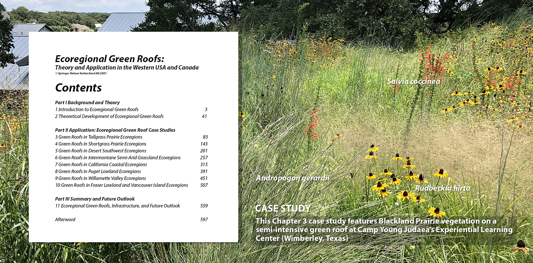 Table of Contents and a Green Roof with Blackland Prairie Vegetation (Chapter 3)
